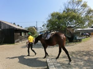 お疲れさん