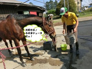 ふすまジュース