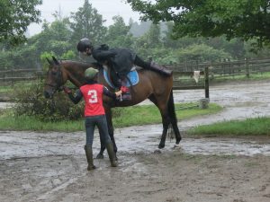 生憎の雨の中　ハリマさん