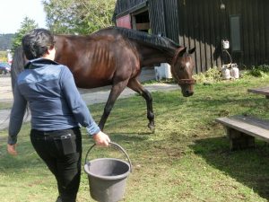 251025のどが渇いたところだったよ