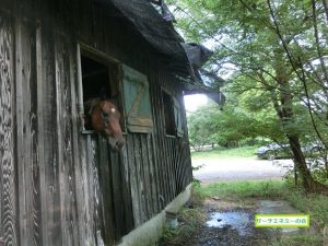 270724屋根から水が・・