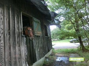 270724屋根から水が・・